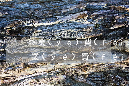 物業(yè)費(fèi)逾期屬于征信(物業(yè)費(fèi)逾期影響征信嗎)