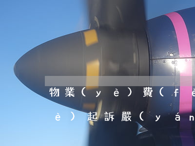 物業(yè)費(fèi)逾期被物業(yè)起訴嚴(yán)重嗎(業(yè)主拖欠物業(yè)費(fèi)超過多久可以起訴)