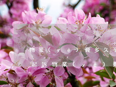 物業(yè)費多久不交物業(yè)可以起訴（物業(yè)費逾期一月不交起訴）