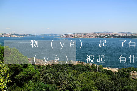 物業(yè)費起訴了有什么后果(因為物業(yè)費被起訴有什么影響嗎)