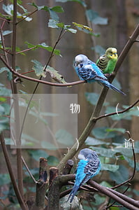 物業(yè)費逾期半年被起訴(物業(yè)費 逾期)