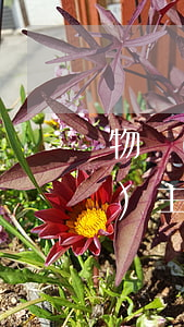 物業(yè)費逾期多久可以起訴業(yè)主(物業(yè)欠費多久可以訴訟)