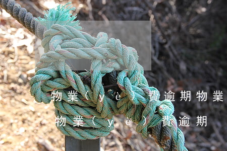物業(yè)費逾期物業(yè)怎么起訴(物業(yè)費 逾期)