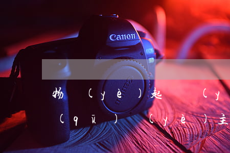 物業(yè)起訴業(yè)主怎么辦(小區(qū)業(yè)主怎樣起訴物業(yè))