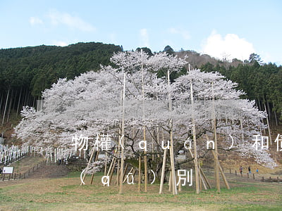 物權(quán)和債權(quán)的區(qū)別