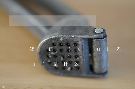 物權的優(yōu)先權效力法律依據(jù)是什么
