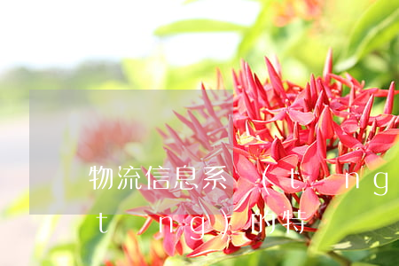 物流信息系統(tǒng)(物流信息系統(tǒng)的特點)
