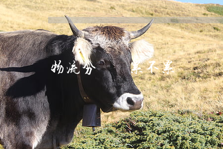 物流分揀員累不累