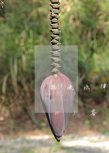 物流法律法規(guī)作用(簡(jiǎn)答題.談一談物流法律法規(guī)有哪些作用)