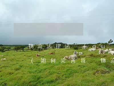物流法律法規(guī)存在的問題及對策(如何完善我國物流法律法規(guī))