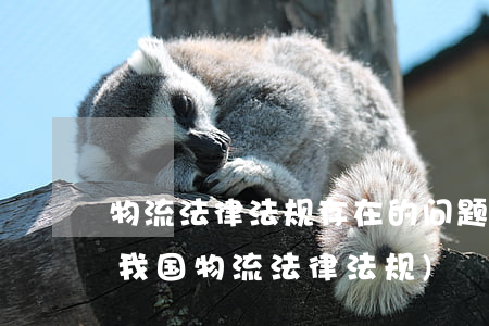 物流法律法规存在的问题及对策(如何完善我国物流法律法规)