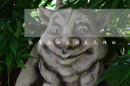 物管投标流程是怎样的
