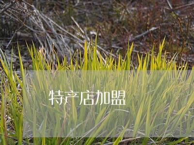 特产店加盟