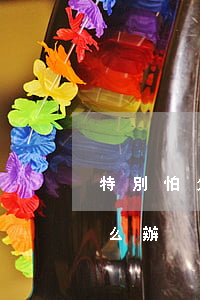 特別怕欠信用卡的錢(特別怕欠信用卡的錢怎么辦)