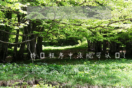 特別程序中法院可以進(jìn)行調(diào)解嗎