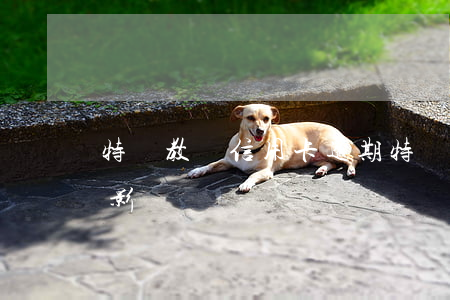 特崗教師信用卡逾期(特崗教師信用卡逾期有影響嗎)