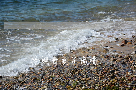 特朗普妻子离婚