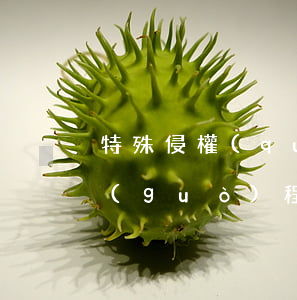 特殊侵權(quán)維權(quán)過(guò)程中當(dāng)事人的舉證責(zé)任是怎么養(yǎng)的