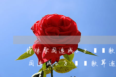 特殊原因造成28號還款算逾期嗎-特殊原因造成28號還款算逾期嗎怎么辦