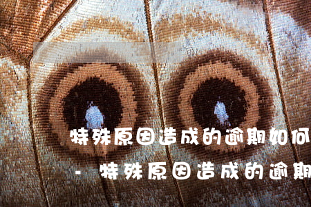 特殊原因造成的逾期如何恢復(fù)征信-特殊原因造成的逾期如何恢復(fù)征信記錄