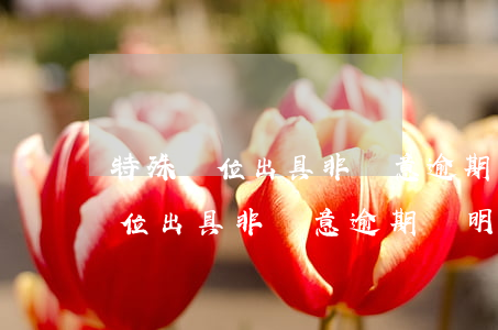 特殊單位出具非惡意逾期證明模板-特殊單位出具非惡意逾期證明模板怎么寫(xiě)