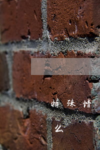 特殊情況個性化分期(特殊情況個性化分期怎么寫)