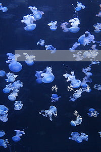 特殊情況網(wǎng)貸可以協(xié)商延遲還款嗎-特殊情況網(wǎng)貸可以協(xié)商延遲還款嗎