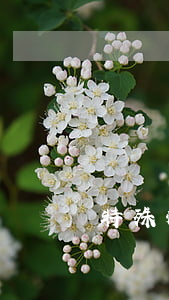 特殊情況逾期(逾期 可疑)