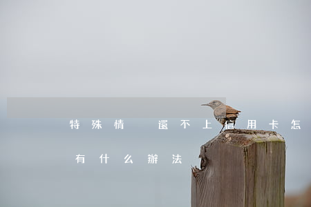 特殊情況還不上信用卡怎么辦(信用卡還不上有什么辦法)