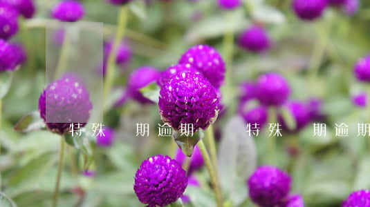 特殊時期逾期問題(特殊時期逾期問題有哪些)