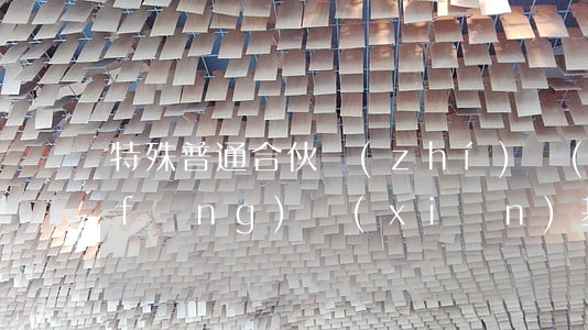 特殊普通合伙執(zhí)業(yè)風(fēng)險(xiǎn)基金制度是什么