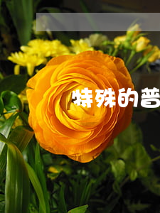 特殊的普通合伙企業(yè)制度是怎樣的