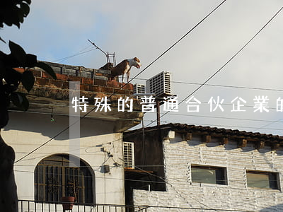 特殊的普通合伙企業的組織形式有哪些規定