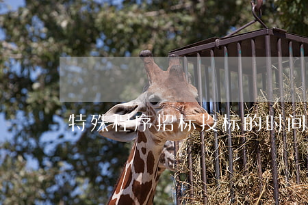 特殊程序招标投标的时间是多久