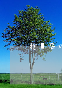 特產店加盟