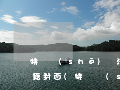 特種設(shè)備法律法規(guī)書籍封面(特種設(shè)備責(zé)任保險(xiǎn)書籍有哪些)