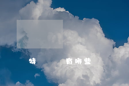 特種車輛有哪些