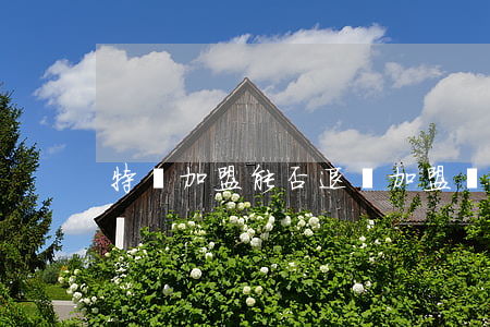 特許加盟能否退還加盟費