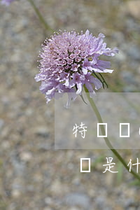 特許經(jīng)營(yíng)合同糾紛是什么意思啊(特許經(jīng)營(yíng)合同司法解釋)