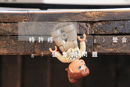 特許經(jīng)營合同(特許經(jīng)營合同問題)