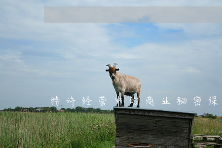 特许经营中的商业秘密保护措施有哪些