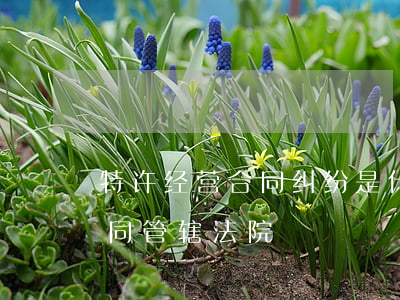 特许经营合同纠纷是什么意思啊(特许经营合同管辖法院)