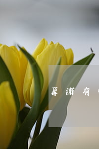 犀浦有捷信貸款嗎