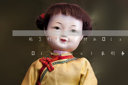 犯了刑事案件什么時(shí)候請律師好(現(xiàn)在刑事案是否要有律師)