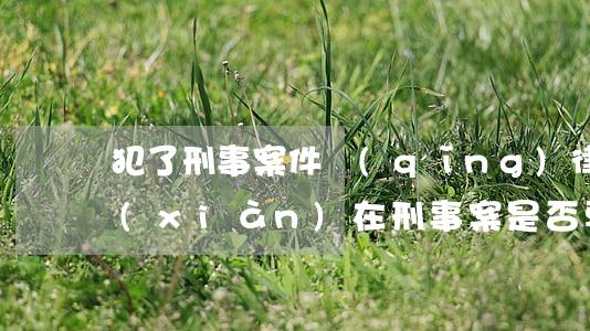 犯了刑事案件請(qǐng)律師有用嗎(現(xiàn)在刑事案是否要有律師)