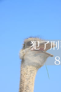 犯了刑事訴訟法82條為什么要請律師(刑事訴訟82條會判刑嗎)