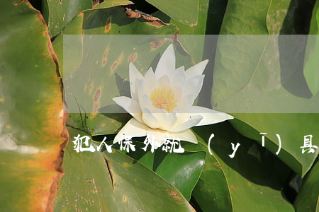 犯人保外就醫(yī)具備哪些條件
