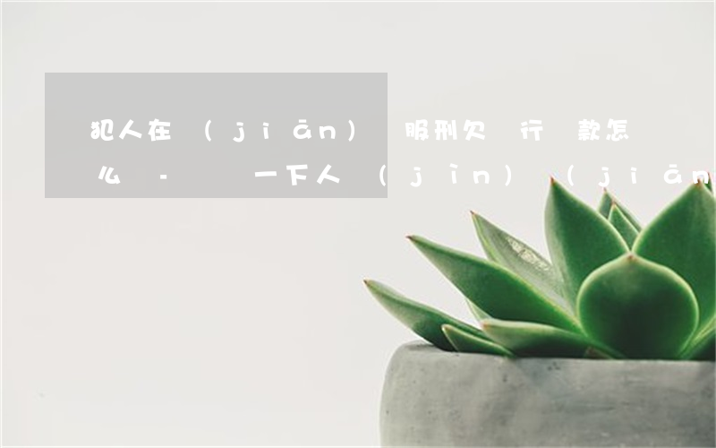犯人在監(jiān)獄服刑欠銀行貨款怎么辦-請問一下人進(jìn)監(jiān)獄后,銀行欠款怎么還