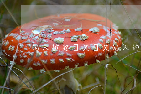犯人被起訴欠錢 欠犯人的錢怎么辦