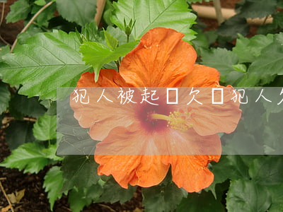 犯人被起訴欠錢(犯人欠錢都怎么處理)